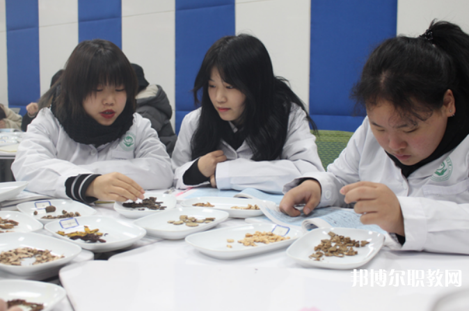 四川2024年適合女生的中專學校專業(yè)