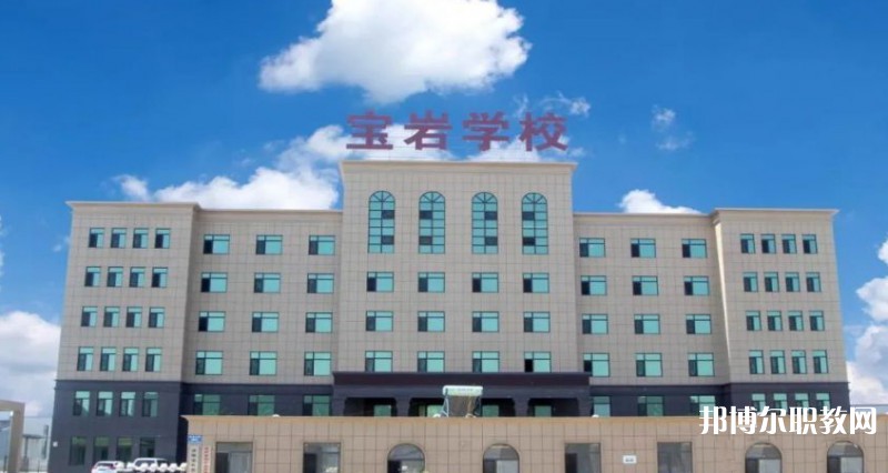2025沈陽(yáng)寶巖藝術(shù)學(xué)校招生計(jì)劃 招生人數(shù)是多少(附要求、條件、對(duì)象)