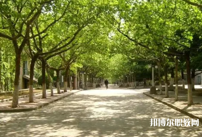 成都2025年讀鐵路學(xué)?？梢钥即髮W(xué)嗎